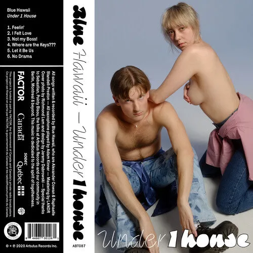 Blue Hawaii: Under 1 House