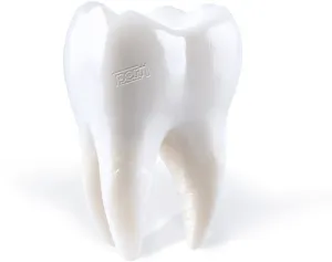 Porij: Teething