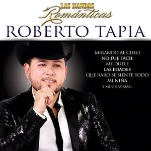 Tapia, Roberto: Las Bandas Romanticas