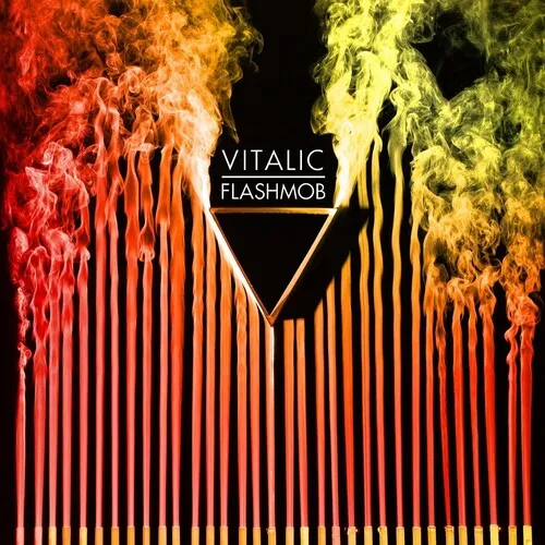 Vitalic: Flashmob